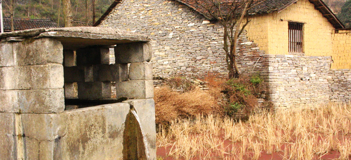 Feature Toilet