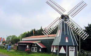 IMG_1508