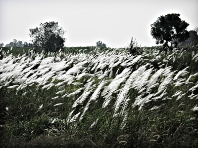 IMG_0003 IMG 0003