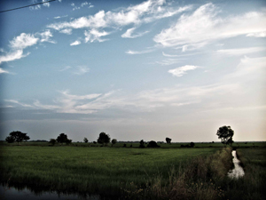 IMG_0073 IMG 0073