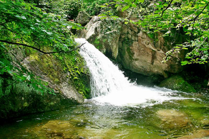200982495633