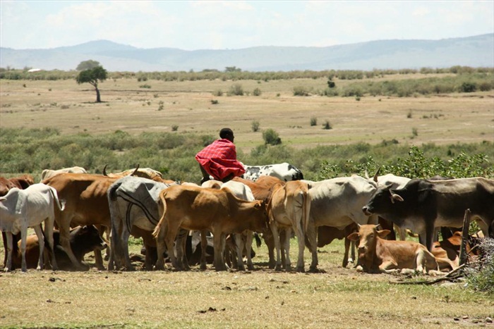 Picture 356 (Large)