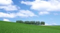 Shiretoko 120x67