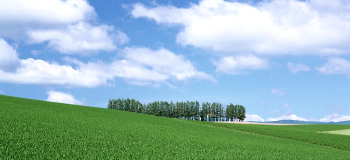 Shiretoko