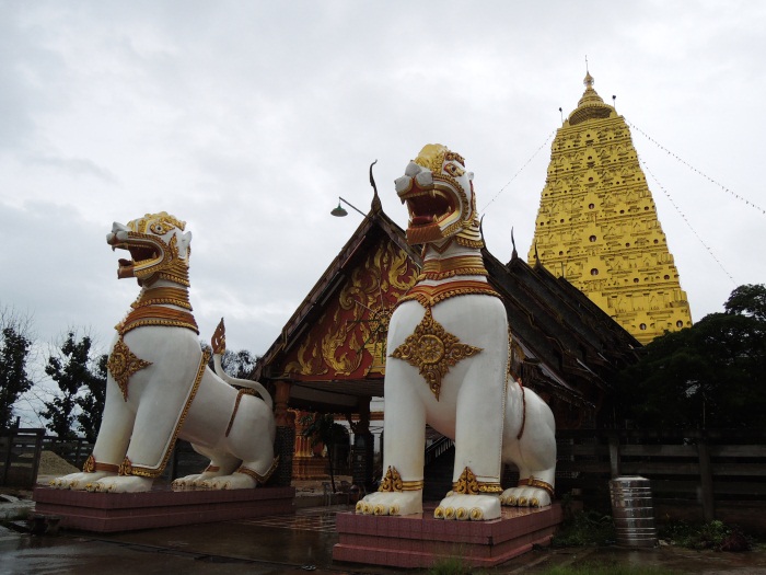 ChediBundhagaya