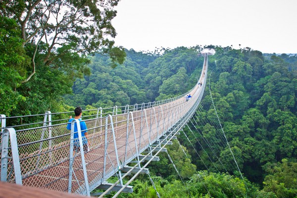 台湾,就是“赞”啦! Skybridge (3)