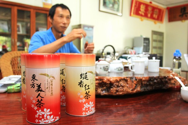 台湾,就是“赞”啦! TeaGarden (22)