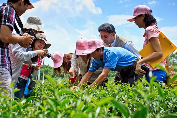 台湾,就是“赞”啦! TeaGarden (30)
