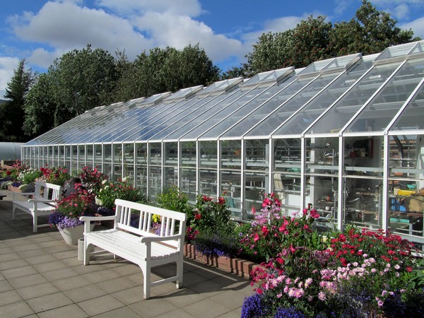冰火二重天的冰岛 6 akureyri botanic grden