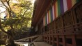 Japan F 120x67