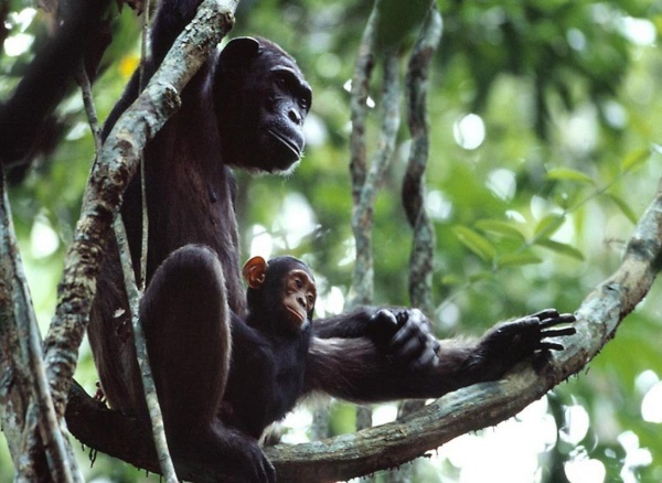 2015年 十大最佳旅游国 congo6