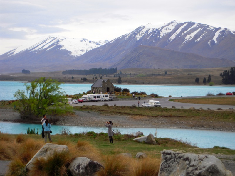 蒂卡坡湖 (Lake Tekapo)• 悠游纽西兰 DSCN3798800