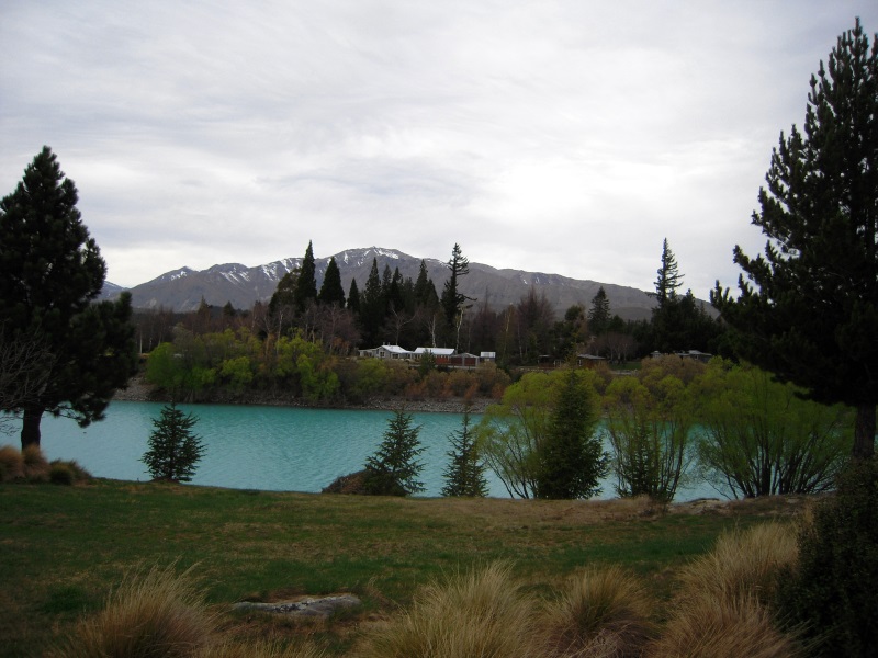 蒂卡坡湖 (Lake Tekapo)• 悠游纽西兰 DSCN3803800