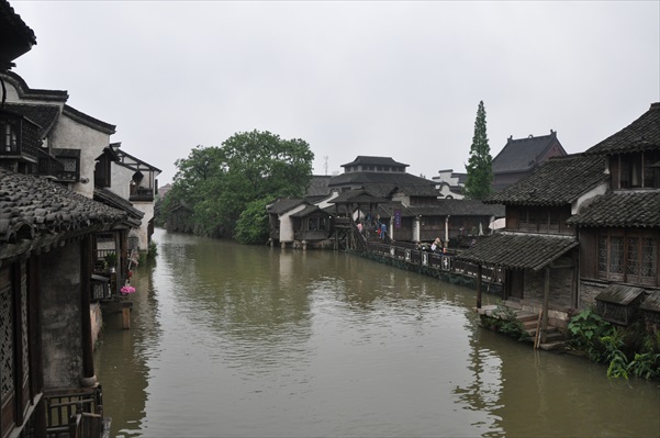 忘返 · 乌镇 水乡之名不是浪得虚名!