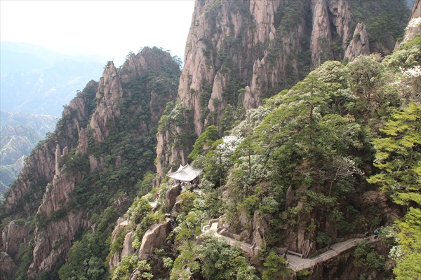 黄山 · 精华走一遍 几乎每个角落都可以找到亮点。