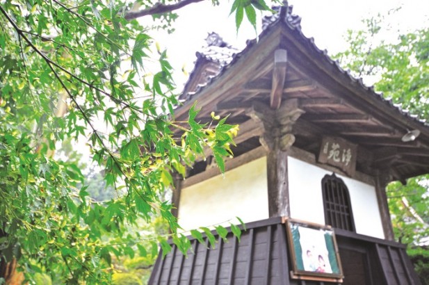 japan-5