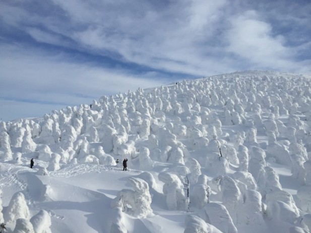 东北藏王山上的雪怪