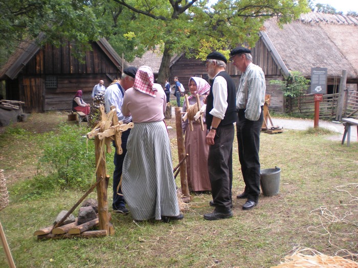 瑞典 与自然串联 3 Skansen 1