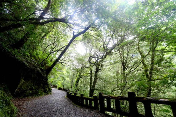 李志利 ‧ 《风采》