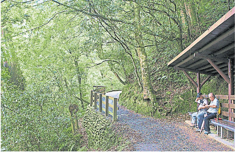 美景美画醉人心 台湾休闲农场潇洒遊 拉拉山自然保护区是大自然愛好者的首选地点之一,置身青翠樹林的怀抱之中,心旷神怡。