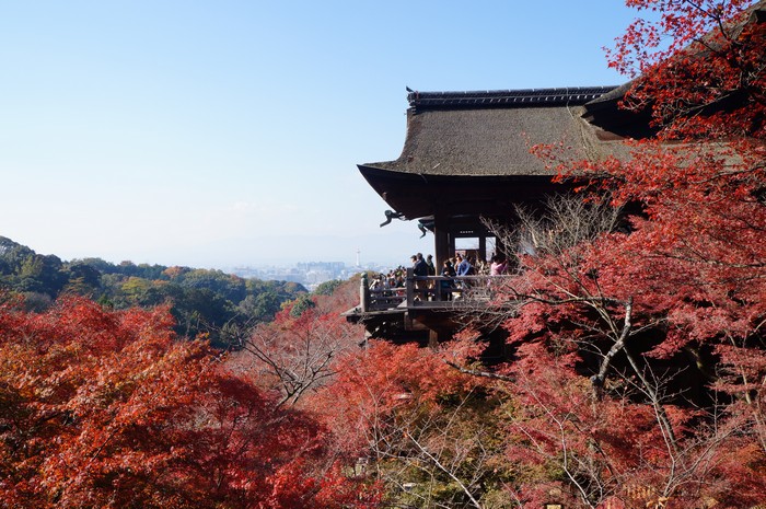 清水寺 • 秋意赏枫季 DSC07047