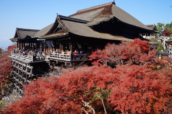 清水寺 • 秋意赏枫季 DSC07055