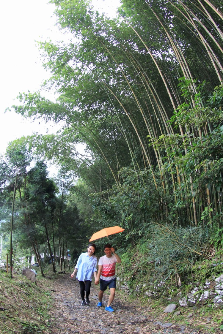 达观雪霸 ‧ 世外桃源 达观农场‧漫步在绿意盎然的竹林步道。