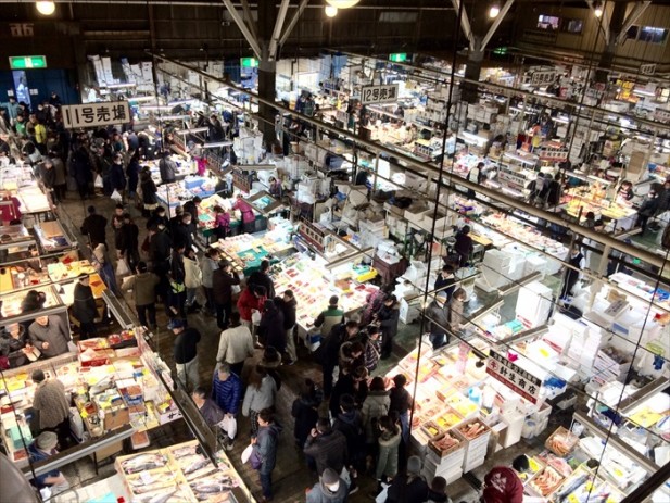 日本东北 海鲜の初体验 每天一早鱼市场就非常热闹!