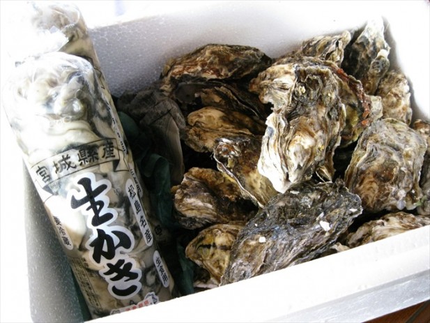 日本东北 海鲜の初体验 官城县出产的蚝在日本相当著名。