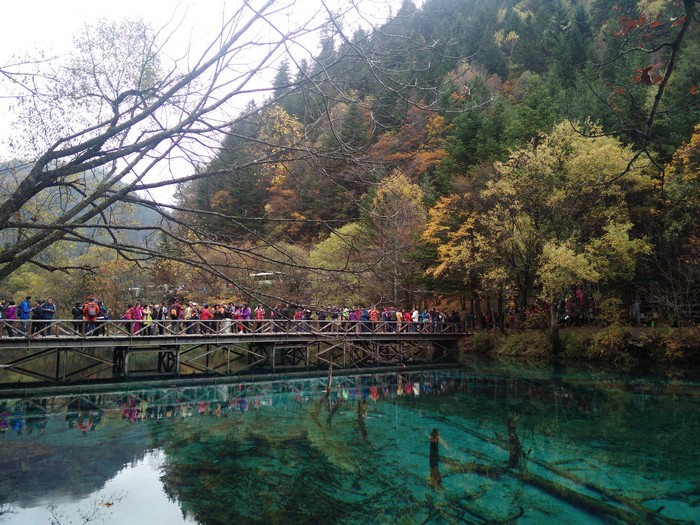 世遗逐个看 · 中国 九寨沟为一历久不衰的旅游胜地。