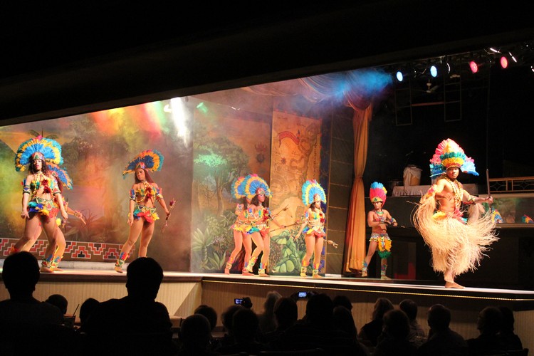 狂舞 Samba . Hello Brazil ! IMG_9270