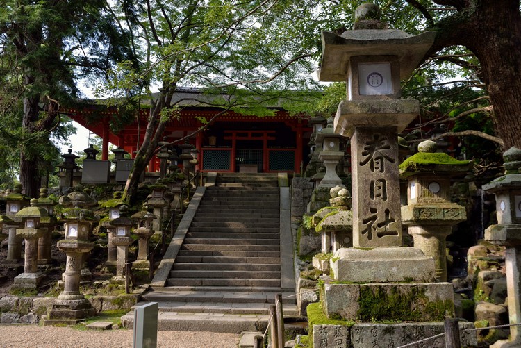 kasuga1