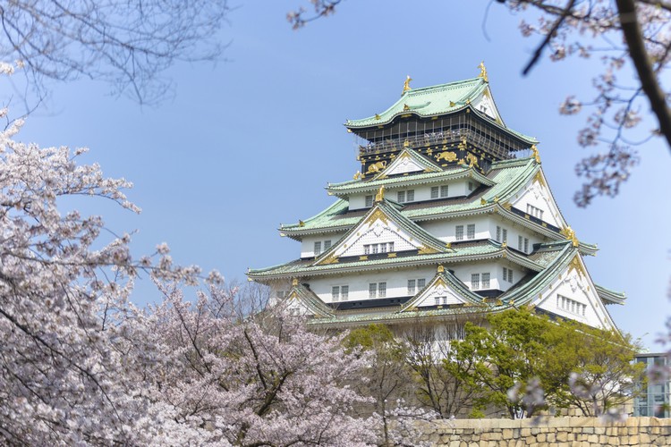 大阪 . 日本城市遊 osaka castle