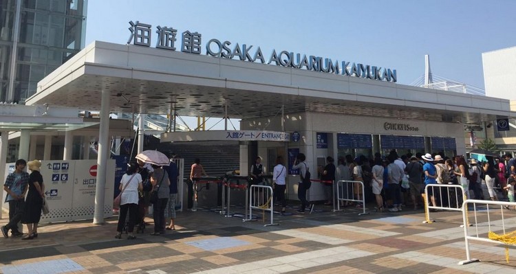 大阪 . 日本城市遊 osaka kaiyukan2