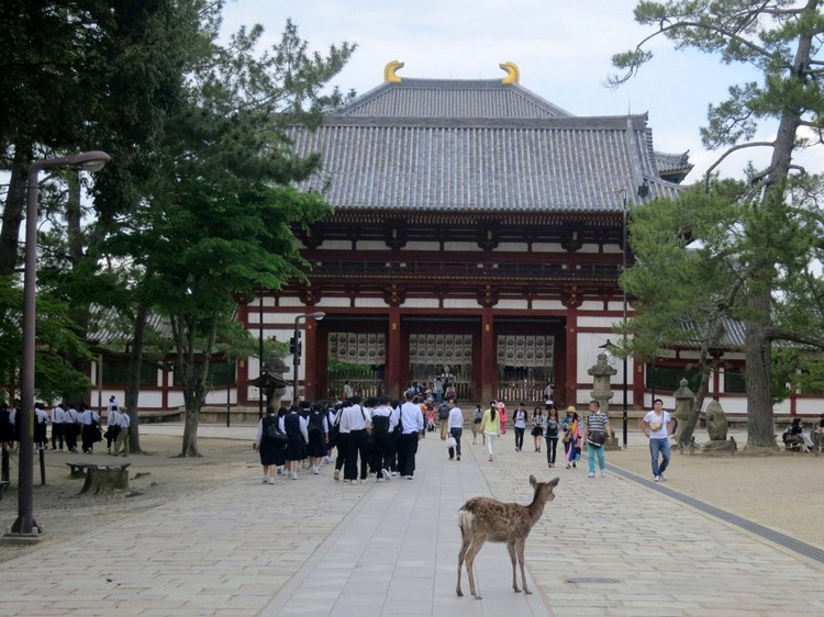 todaiji1