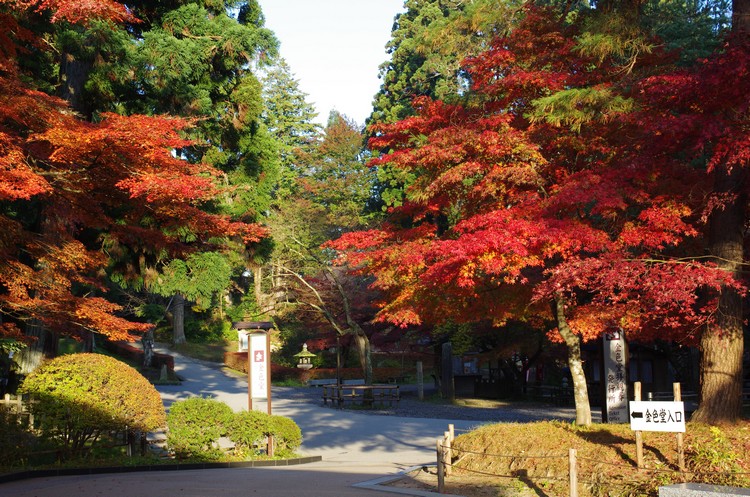 chunsonji