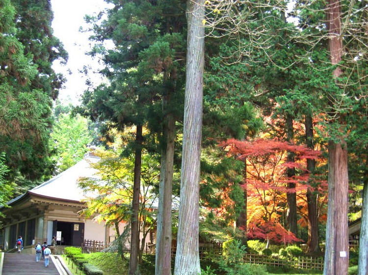 chusonji use