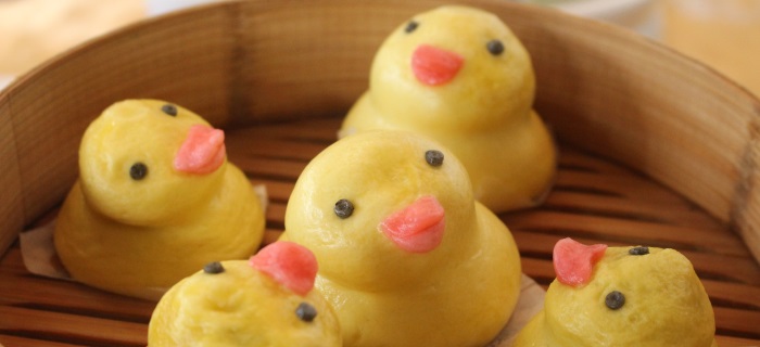 Duck