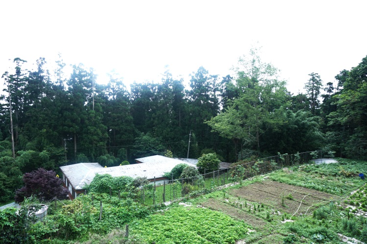 深入农村 听农家人说故事 零里程的滋味,高山蔬果特别香甜呢!