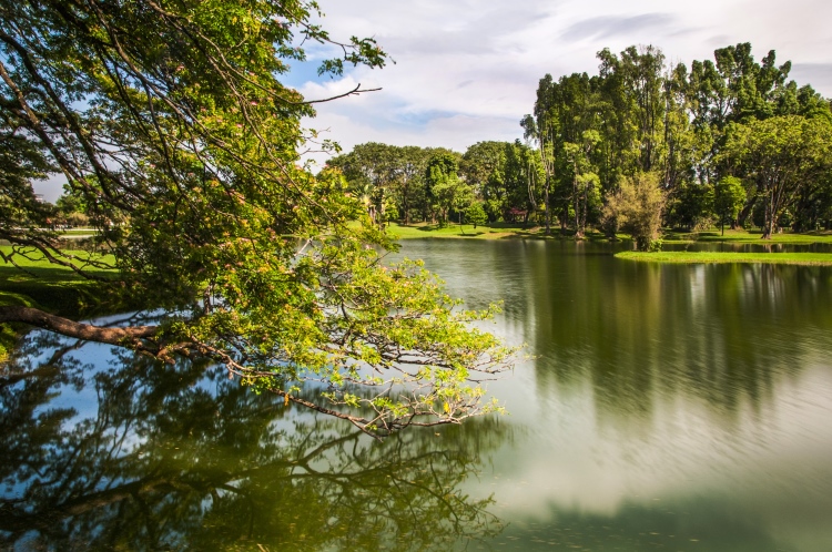 漫步古镇 漫游渔村 (太平、瓜拉十八丁)中篇 taiping lake resize