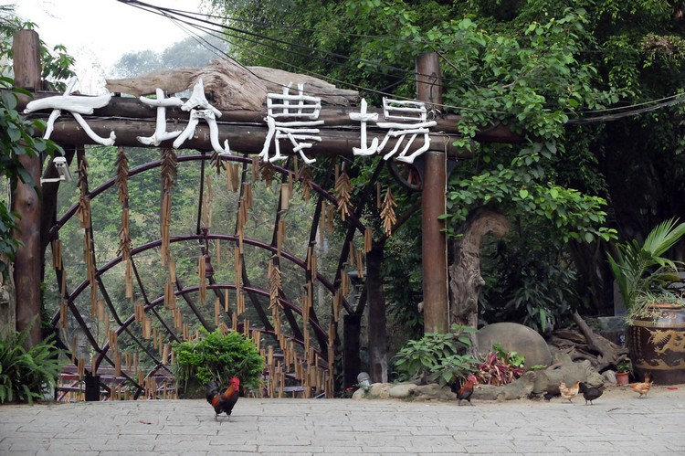 田里的妈妈上大堂 大坑农场 (2)