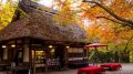 Nara Travel Tips F 120x67