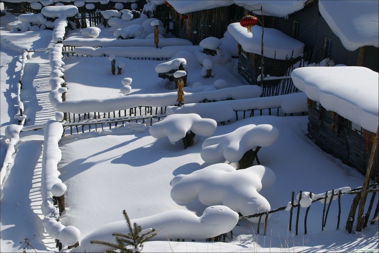 冬天要 见雪 · 中国 东北雪乡 这里的雪质好,粘度高,冬季时积雪期长达七7个月,打从10月至次年5月就开始逐渐积雪并会一直累积到来年3月,使积雪厚度年均达2公尺,堪称中国之最。