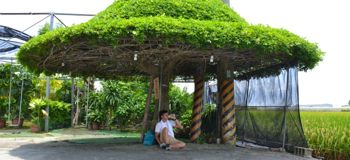 Taiwan Leisure Farm