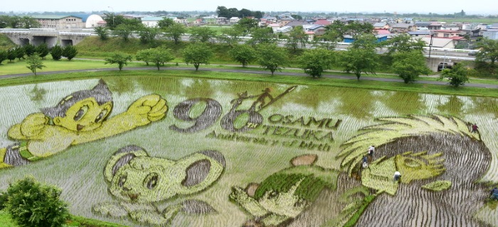 Aomori Paddy Field