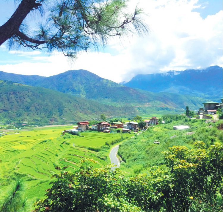The curious things about Bhutan