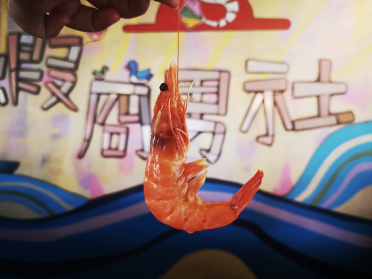 第一天 ‧ 第一场 ‧ 第二名:刘敏军《探世界》