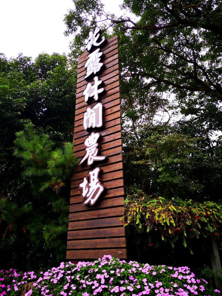 赴一场台湾休闲农场(下篇) 1