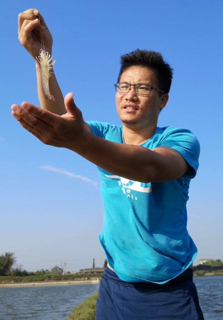 赴一场台湾休闲农场(上篇)