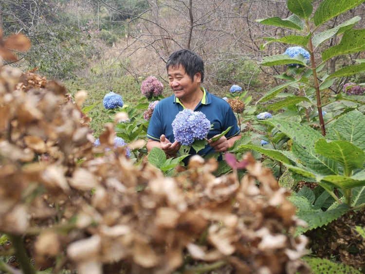 赴一场台湾休闲农场(上篇)